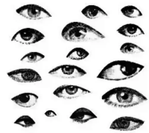 Montagem de diferentes olhos humanos usada como referência visual no artigo Olho Misterioso<br />