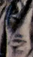 Detalhe das dobras da vestimenta que podem lembrar um olho e traços faciais