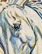 Ampliação do detalhe visual que pode sugerir uma segunda cabeça de cavalo voltada para baixo na ilustração.